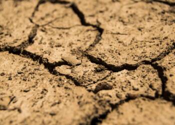 drought 780088 1280 2024 07 17 195116