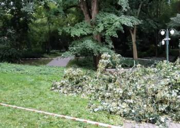 konar 2 2024 07 04 190210