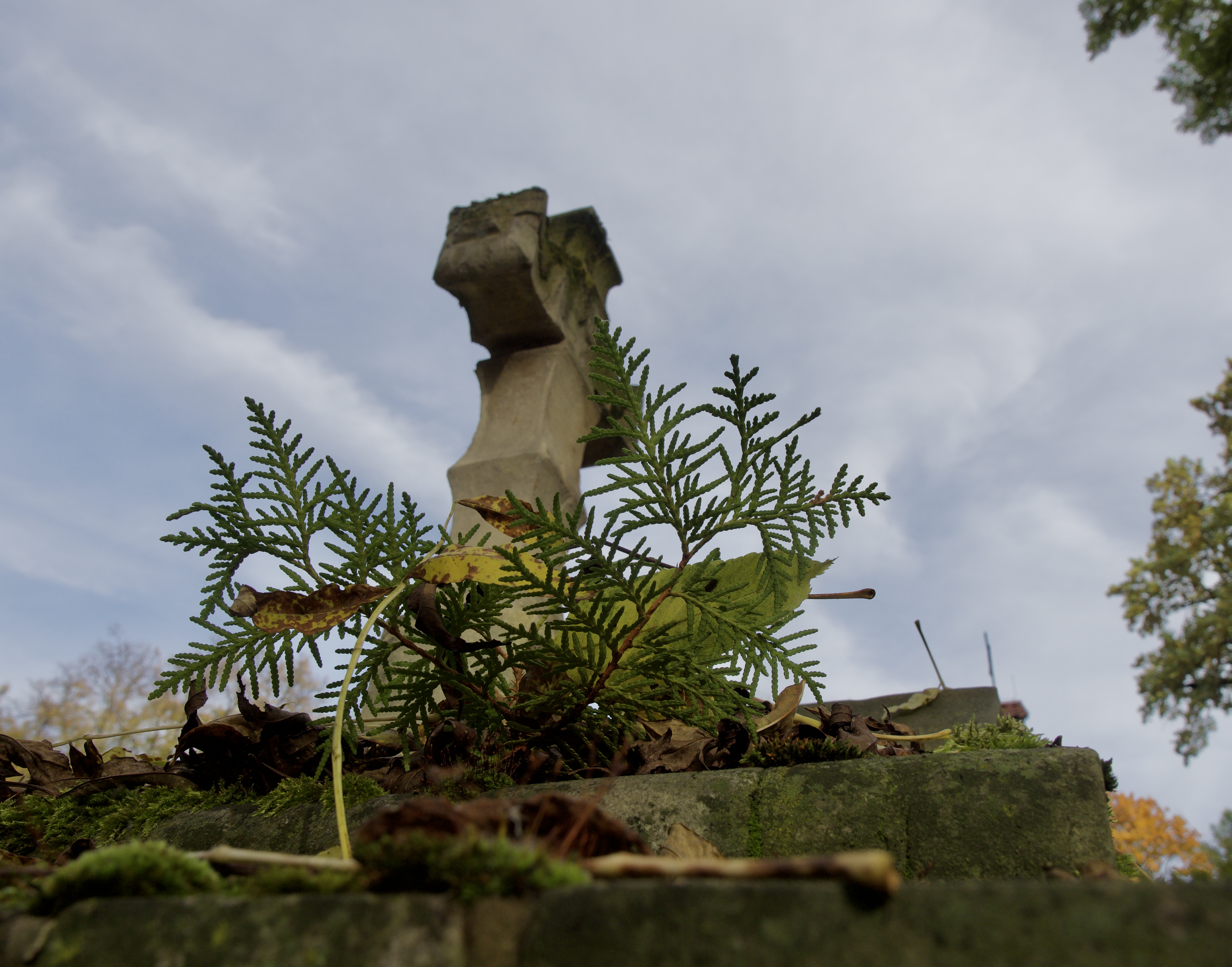 Spacer po najstarszym cmentarzu w Lublinie 2 PA300429.jpeg