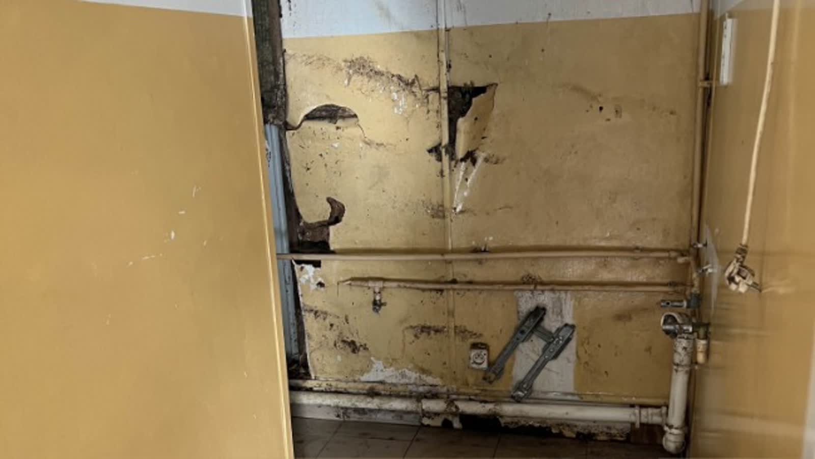 Walczą o życie piesków. Zbiórka na remont zamojskiej szczeniakarni 2 story_351214_1720172379.jpeg