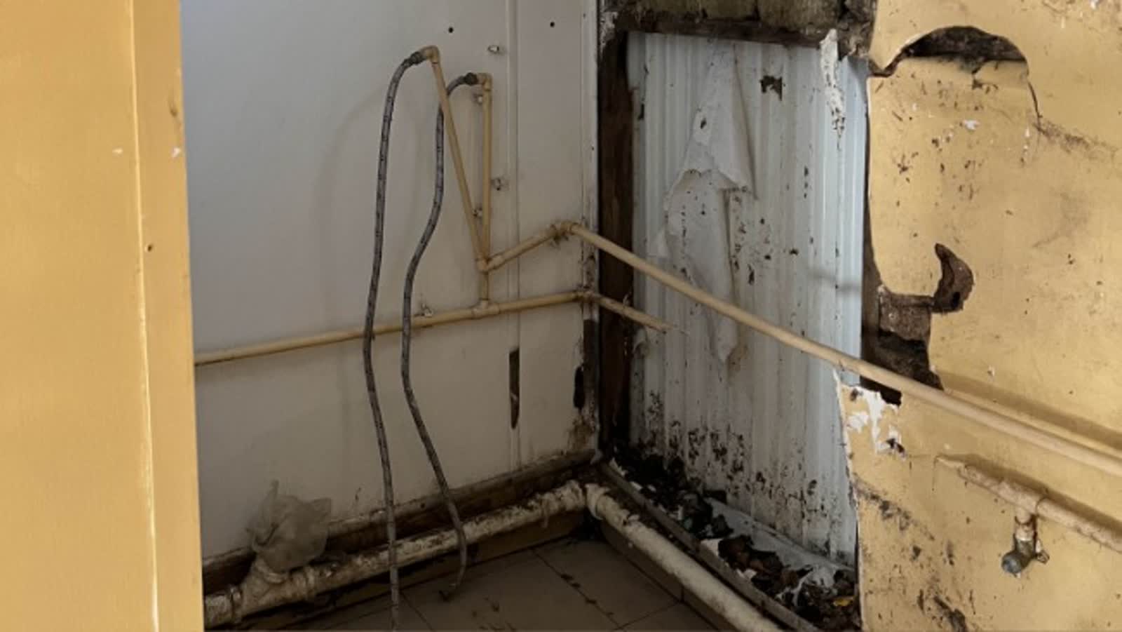 Walczą o życie piesków. Zbiórka na remont zamojskiej szczeniakarni 4 story_351214_1720172399.jpeg