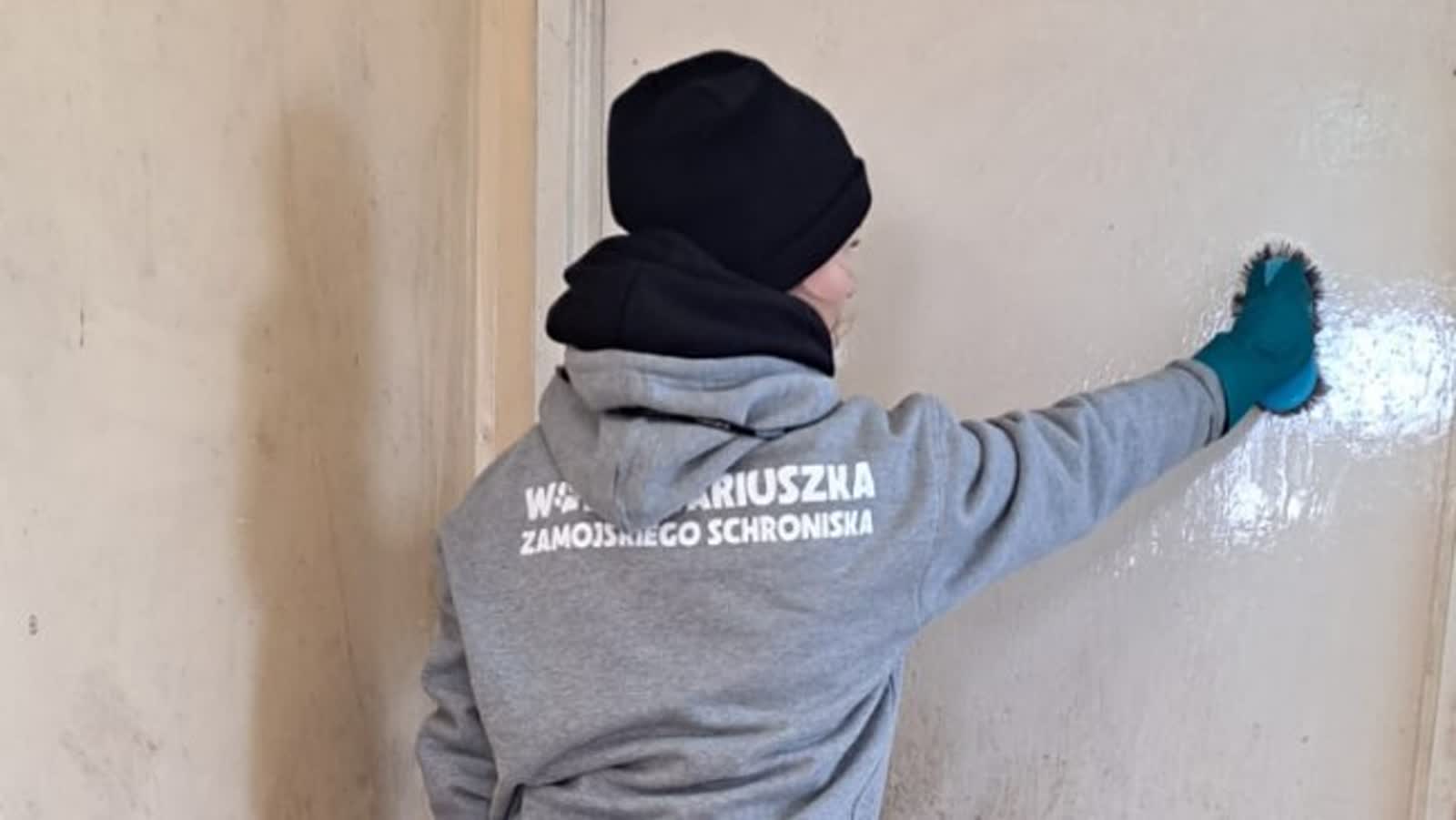 Walczą o życie piesków. Zbiórka na remont zamojskiej szczeniakarni 3 story_351214_1720172452.jpeg