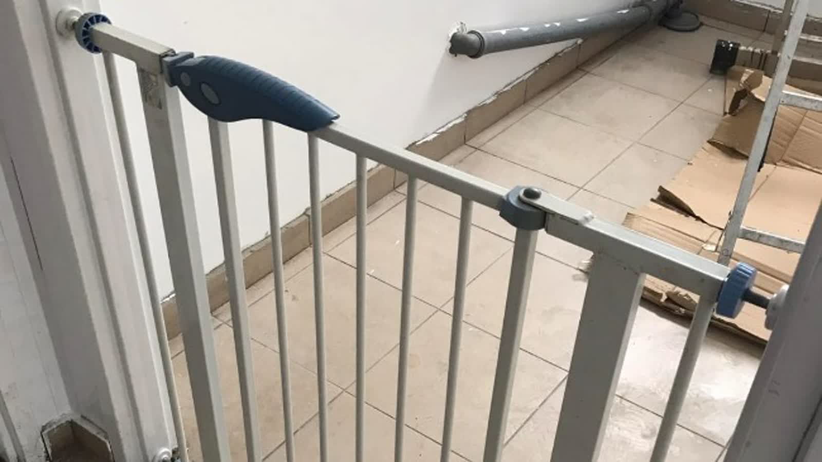 Walczą o życie piesków. Zbiórka na remont zamojskiej szczeniakarni 6 story_351214_1720172478.jpeg