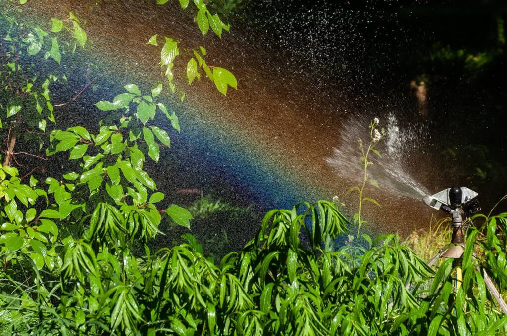 water sprinkler 7254939 1280 2024 07 13 102145