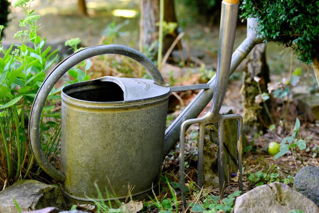 watering can 3630281 1280 2024 07 15 145026