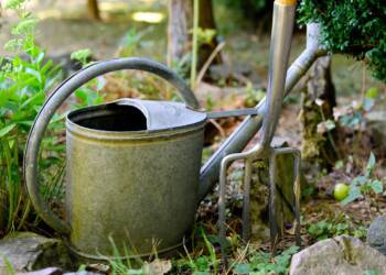 watering can 3630281 1280 2024 07 15 145026
