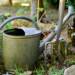watering can 3630281 1280 2024 07 15 145026