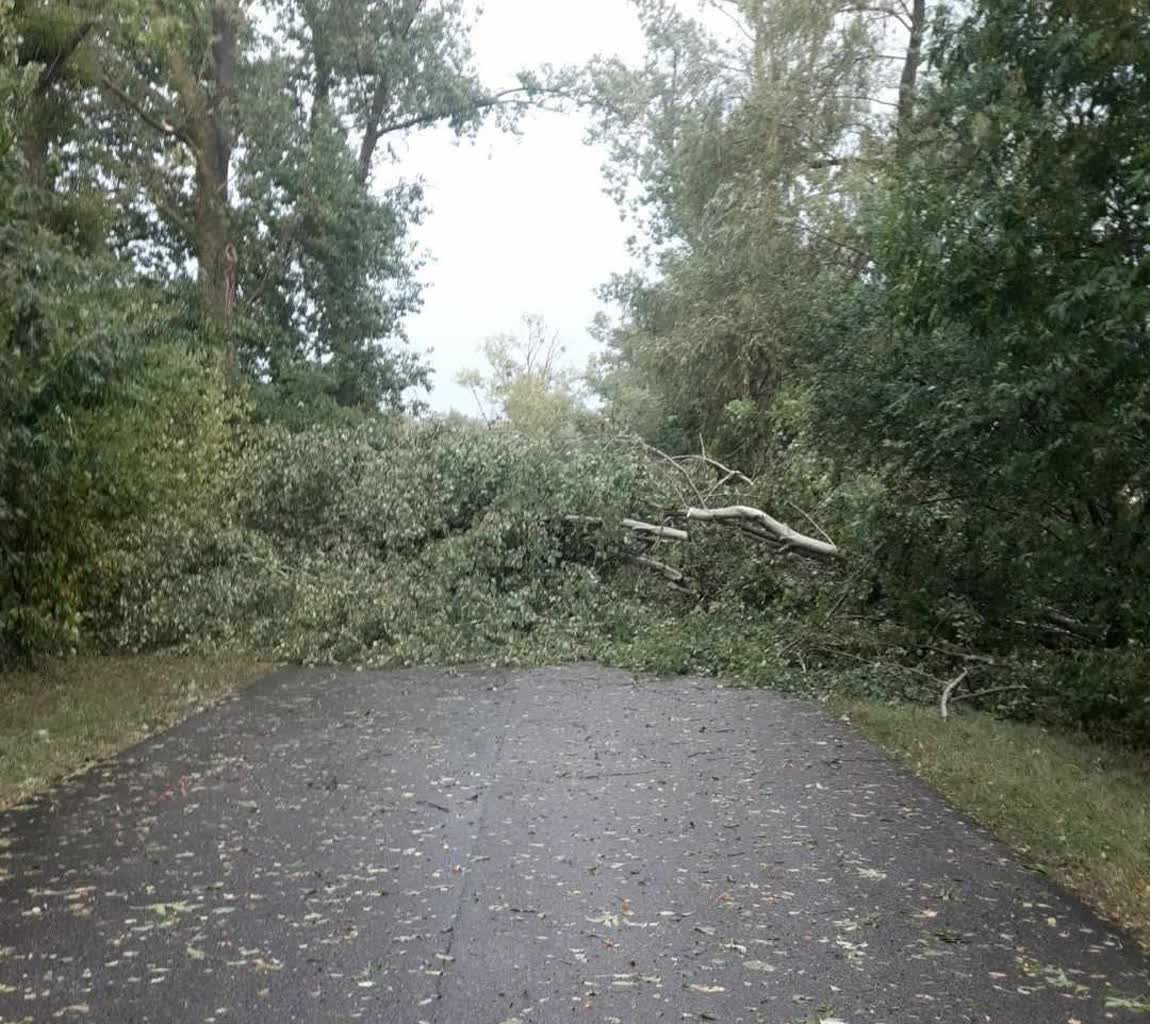 Skutki burz w Lubelskiem. Niemal 200 interwencji strażaków z regionu 3 456176640_1053261190133383_2792995768849787421_n.jpg