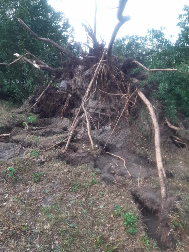 Skutki burz w Lubelskiem. Niemal 200 interwencji strażaków z regionu 4 456204391_1053261063466729_6754218589134783128_n.jpg