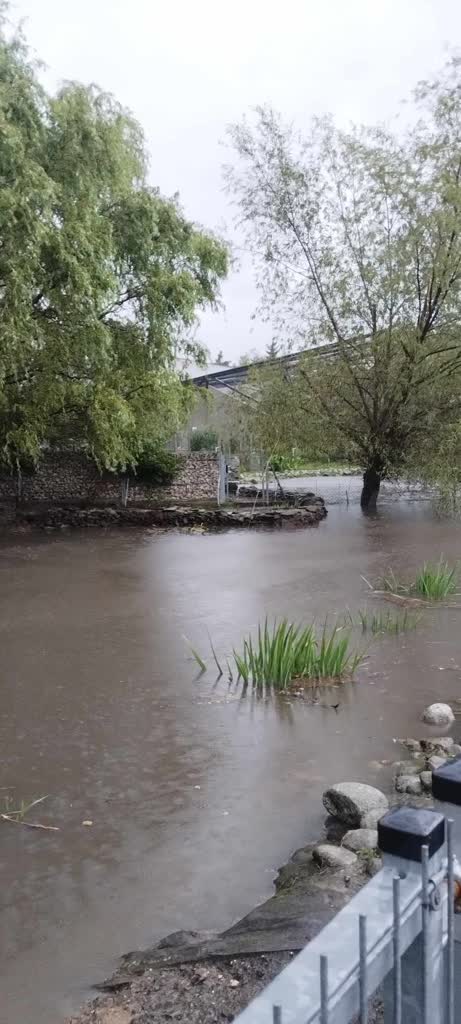 Podtopione zoo, zalane piwnice, garaże i ulice. Zamość walczy ze skutkami nawałnicy 3 456310470_938592348312149_3873450821670657064_n.jpg