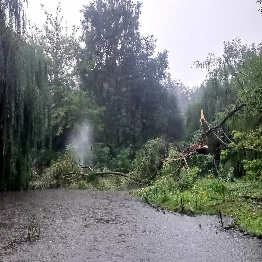 Podtopione zoo, zalane piwnice, garaże i ulice. Zamość walczy ze skutkami nawałnicy 4 456614994_938592391645478_4757174752258969276_n.jpg