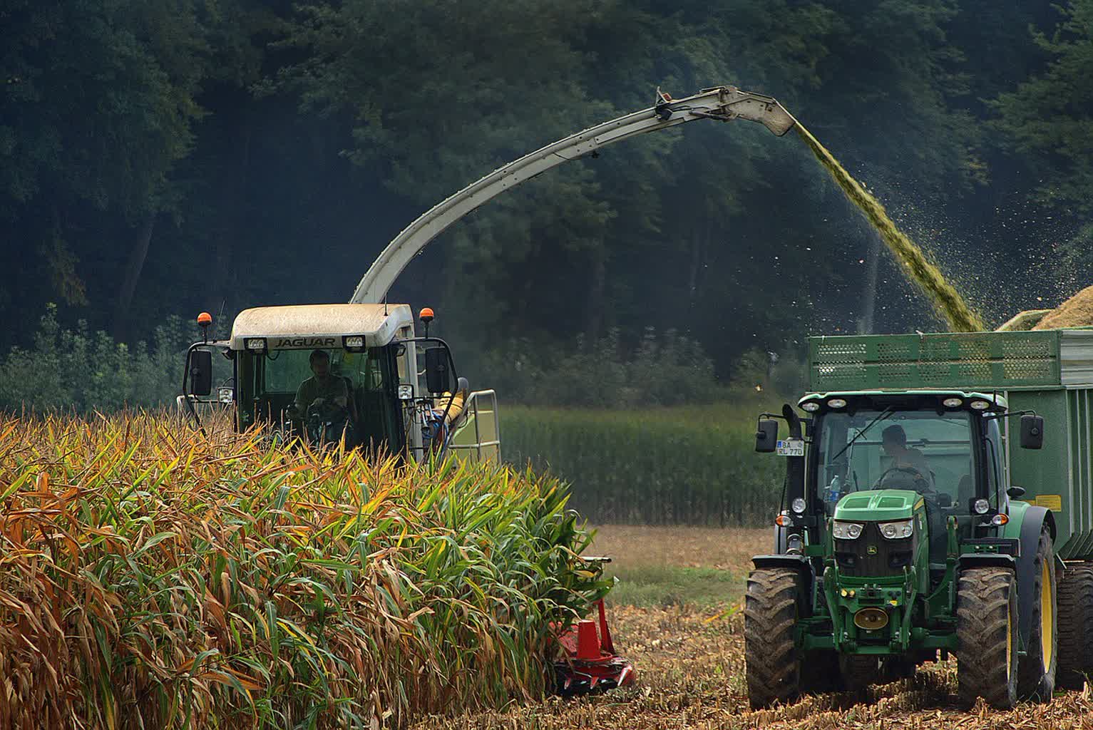 corn harvest 5604152 1280 2024 08 04 133615