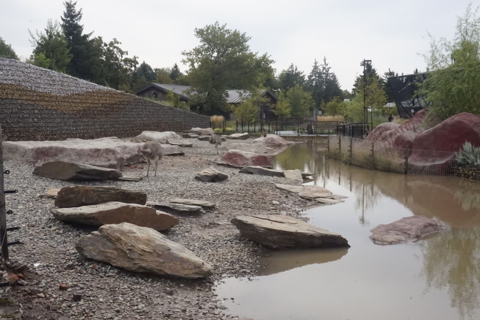 Kryzys zażegnany. Sytuacja w zamojskim ZOO wraca do normy 2 _DSC6813.JPG