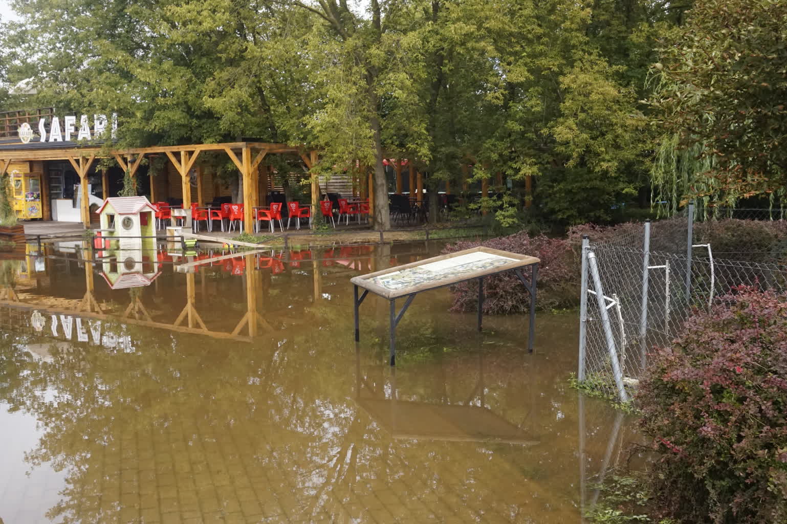 Wielka ulewa w Zamościu. Trwa szacowanie strat 2 _DSC6824.JPG