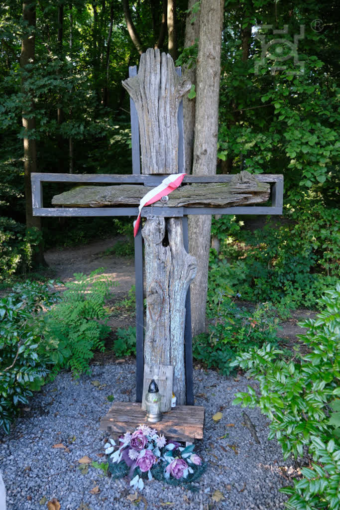 Lublin: cenne mogiły wojenne zostaną odnowione 3 krzyz_na_mogile_legionistow,klOWfqWibGpC785HlXs.jpg