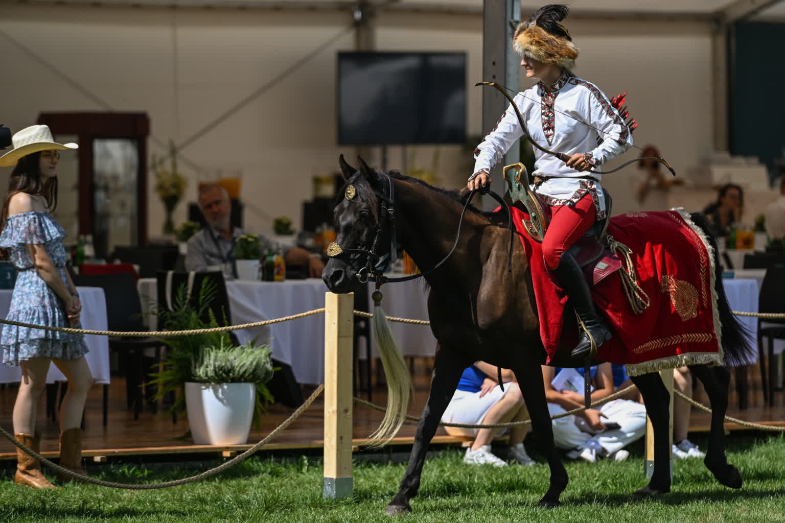 Ekspert: polskie araby wciąż mogą wygrywać z końmi z Bliskiego Wschodu 3 mid-24810256.jpg