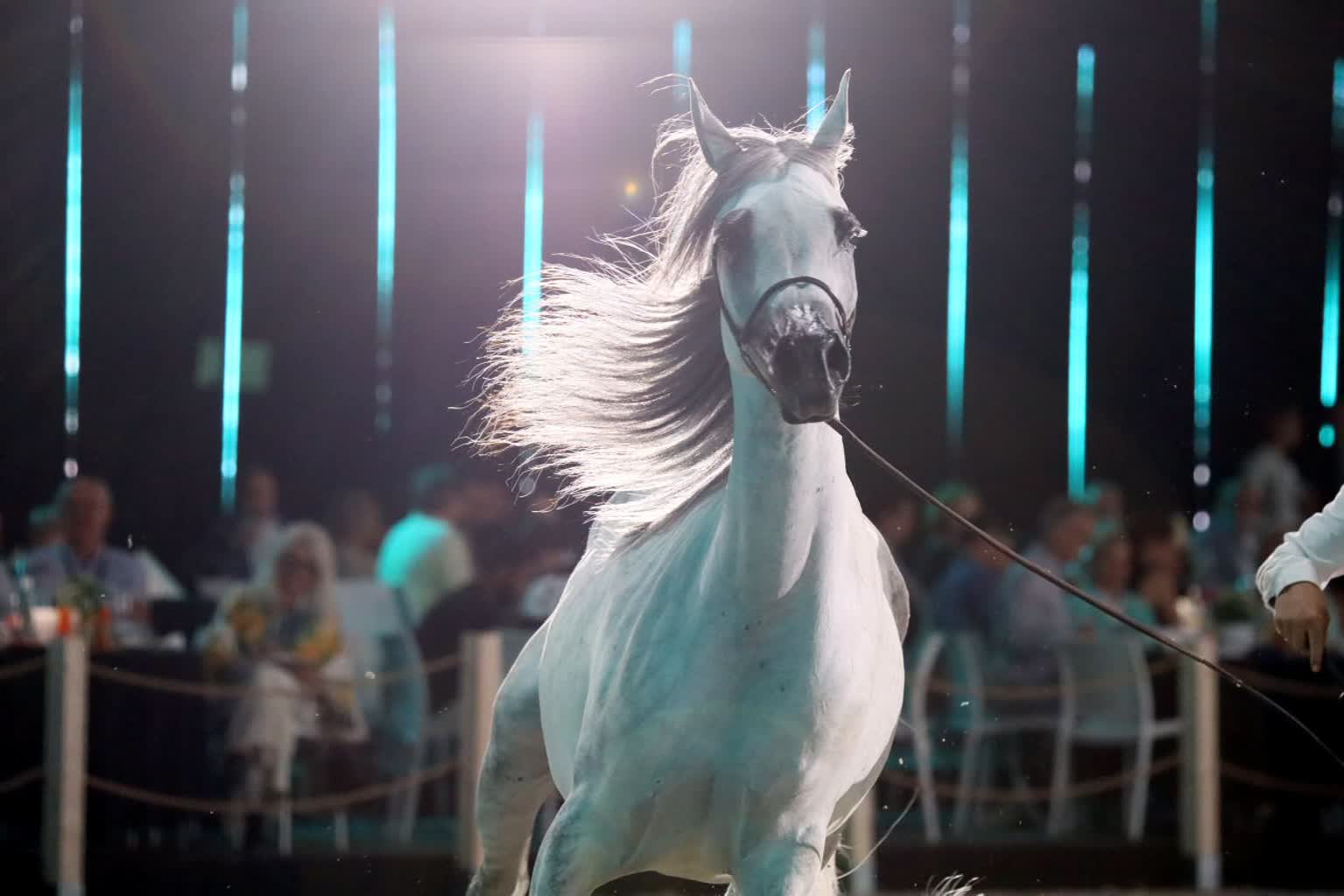 Organizatorzy po aukcji Pride of Poland: rozpoczął się proces pozytywnych zmian 2 pm_AUKCJA-110824-122.jpg
