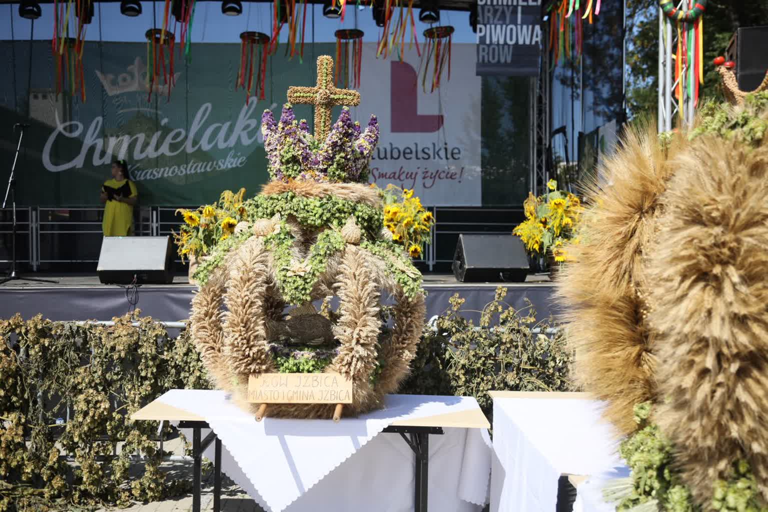 Problemy plantatorów chmielu. Sesja podczas tegorocznych Chmielaków 2 pm_KRASNYSTAW-250824-010.jpg