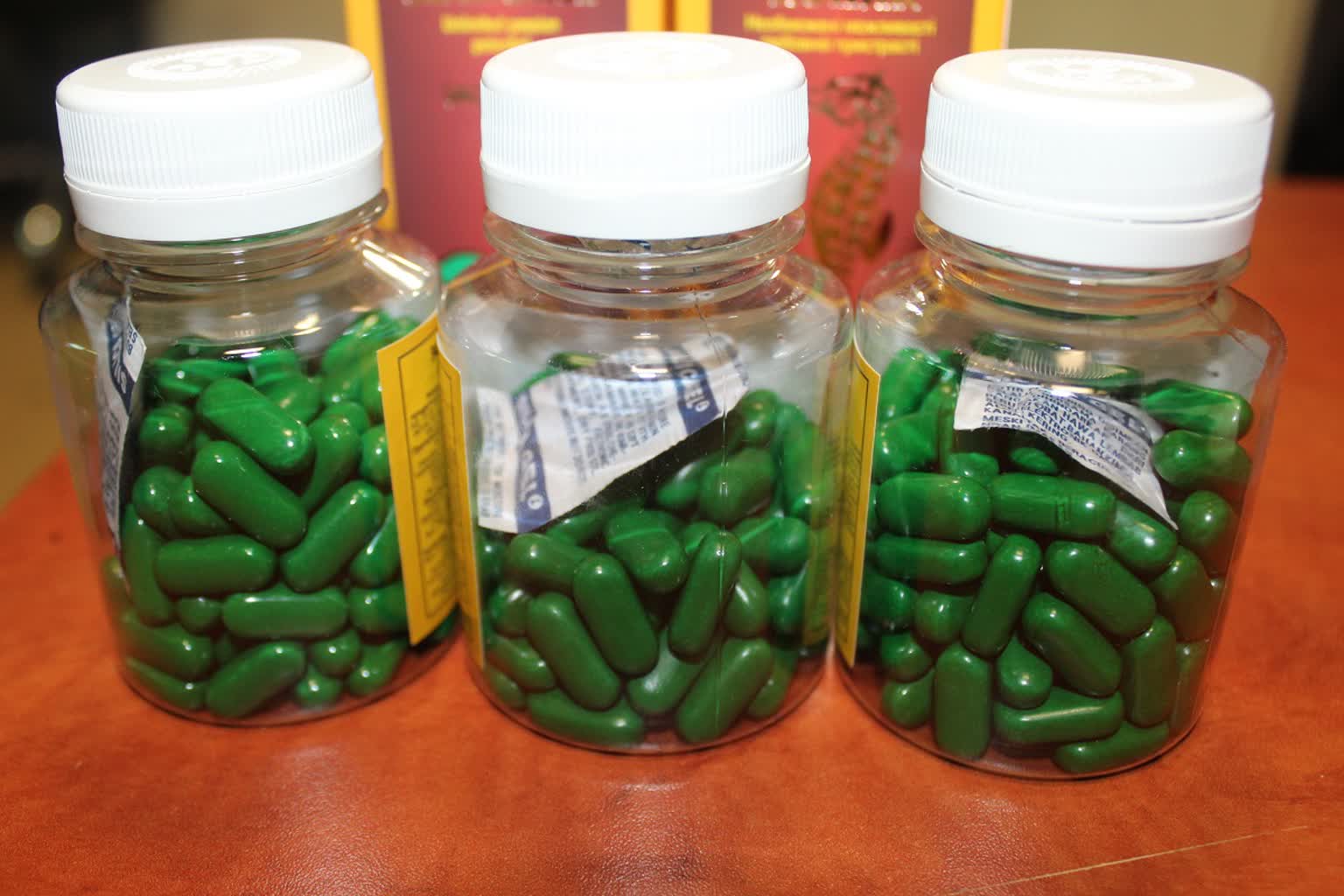 Tabletki z konika morskiego przechwycone przez celników 2 20240923_konik_CITES(2).JPG