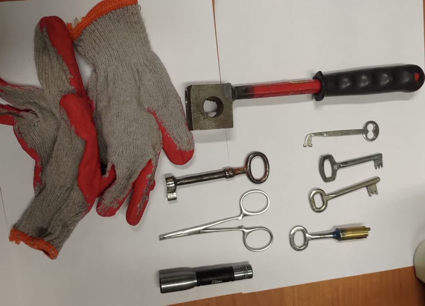 Włamywacze zatrzymani na gorącym uczynku 3 350-250309.jpg