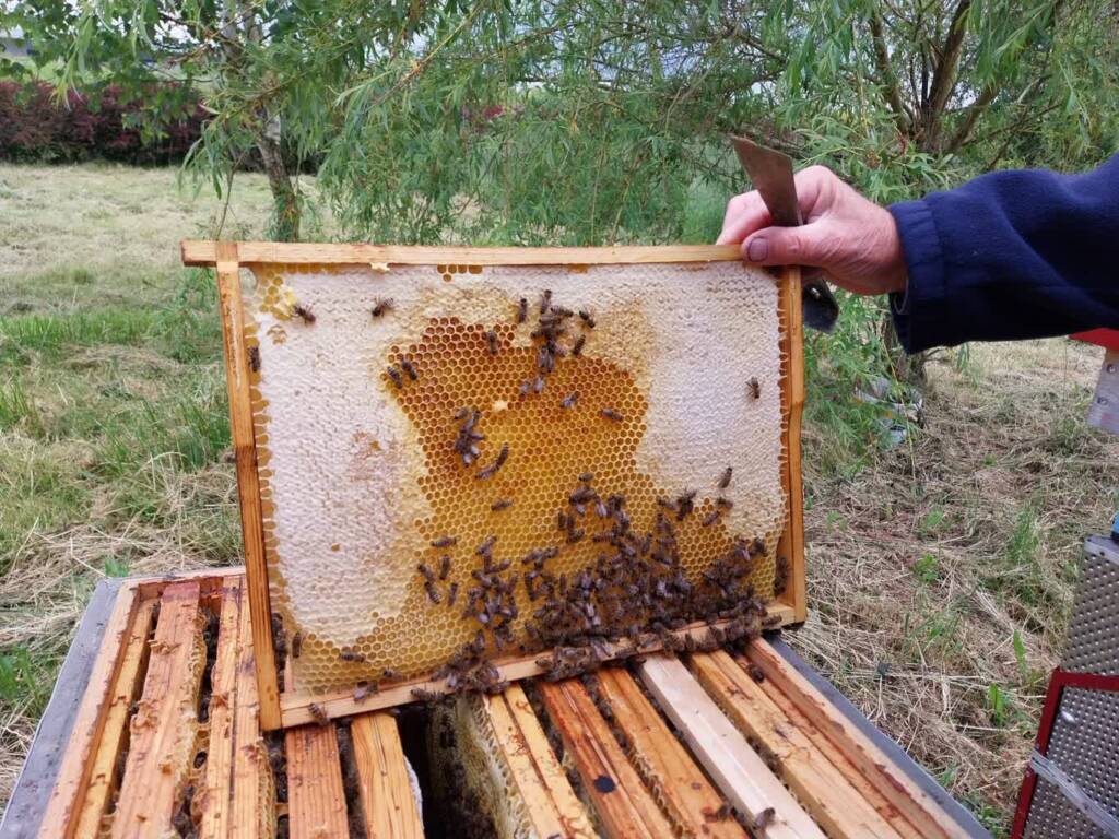 354199148 761794175692035 1537431725004487299 n 2023 06 14 191704 2024 09 13 084533