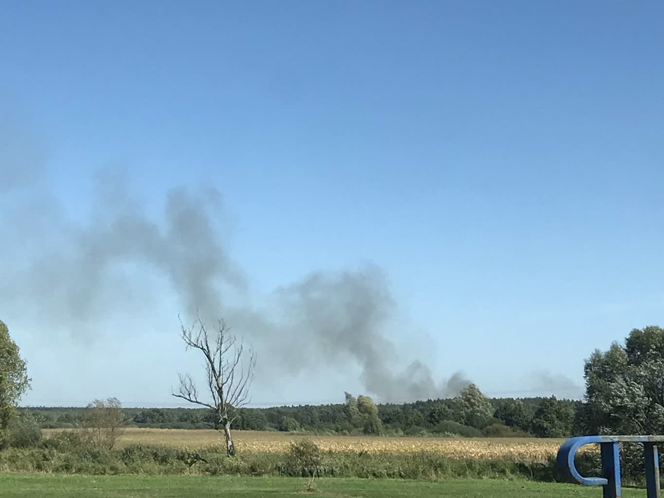Pożar lasu w powiecie łęczyńskim! 2 456837012_1040617574080437_3574826390781511799_n.jpg