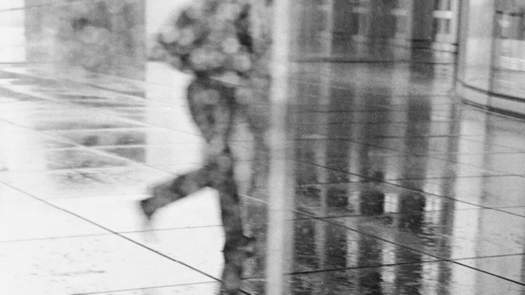 460315170 539588485093080 6743602144606831179 n 2024 09 24 104940