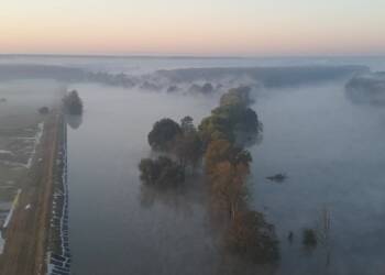 460844911 828923006079620 4720448923431851778 n 2024 09 23 180742