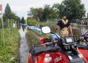 dsc6849 2024 09 13 230913