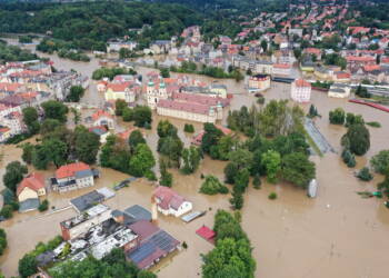 mid 24915450 2024 09 16 192847