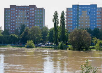 mid 24917553 2024 09 17 202028