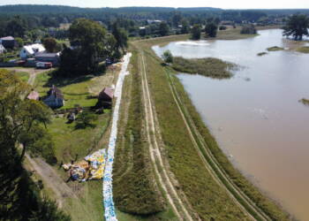 mid 24920449 2024 09 20 225606