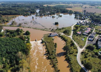 mid 24921277 2024 09 21 185214