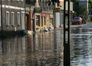 net 24918573 2024 09 18 182229