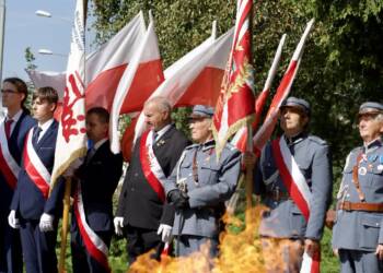 p9161887 2024 09 16 190121