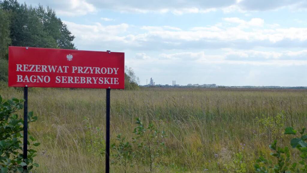 pl bagno serebryskie nature reserve 2024 09 18 221407