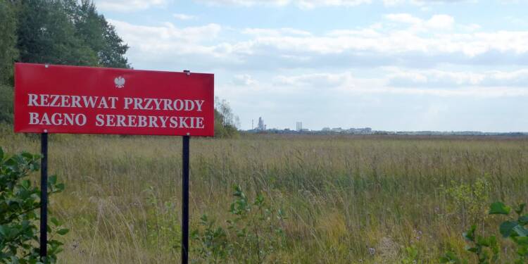 pl bagno serebryskie nature reserve 2024 09 18 221407