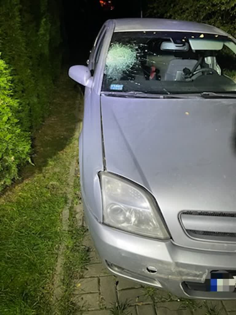 Śmiertelne potrącenie pieszego. Policja znalazła sprawcę 2 349-251522.jpg