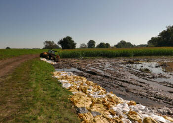 461034352 835920945392901 1472509460660525848 n 2024 10 09 190727