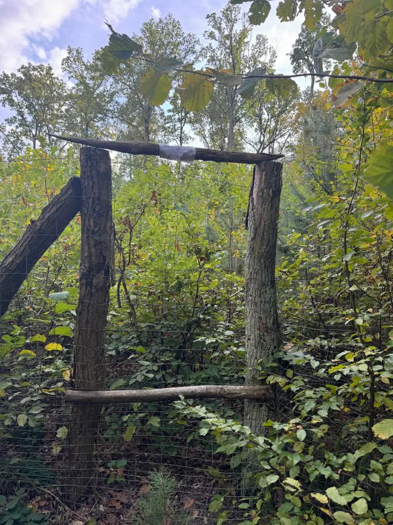 W ferworze grzybobrania zgubiła się w lesie. Z pomocą ruszyli leśnicy 2 461924964_943895021100273_6679701565784880737_n.jpg