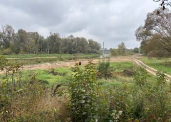 462135365 1150172470060965 2084976052952937213 n 2024 10 10 232614