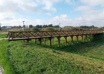 462549293 1461703631161344 6075032798168679258 n 2024 10 17 205121