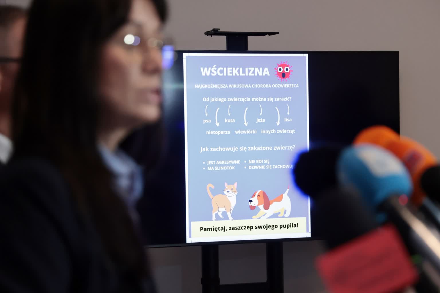 Więcej ognisk wścieklizny. Służby rekomendują ostrożność i szczepienia 6 464287292_873024251684276_4158831583826168295_n.jpg