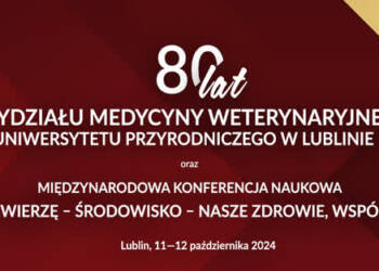 80lat wmw banner plv2 1 2024 10 11 060610