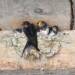 barn swallow 5346611 1280 2024 10 26 090348