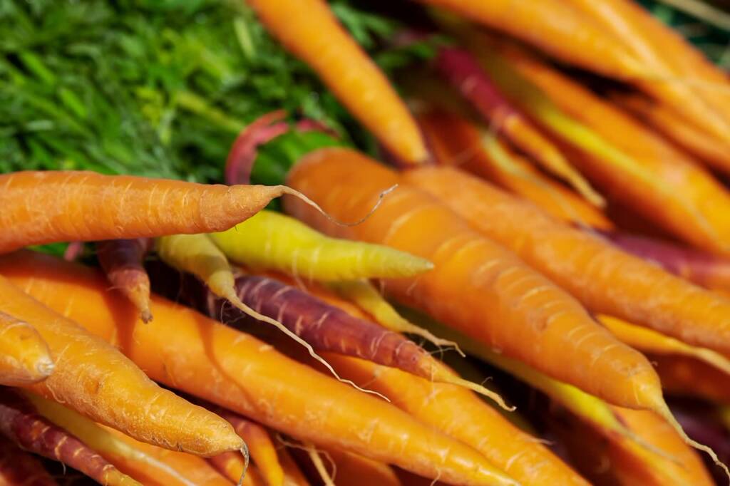 carrots 3440368 1280 2024 10 17 071140