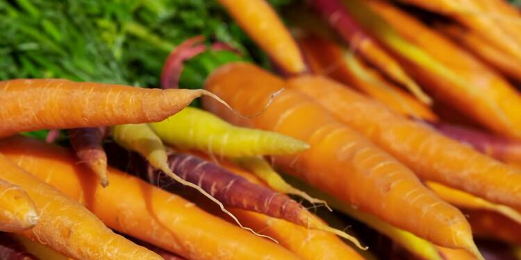 carrots 3440368 1280 2024 10 17 071140