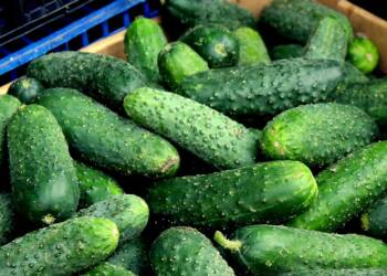 cucumbers 7258277 1280 2024 10 25 183918