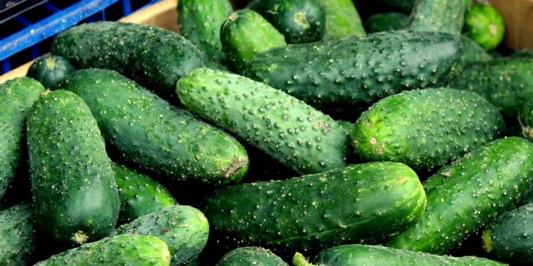 cucumbers 7258277 1280 2024 10 25 183918