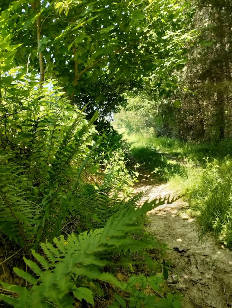 Piękne wąwozy i fantastyczne widoki. Kraszczady zapraszają turystów 2 Lessowa_droga,_Siniec.jpg